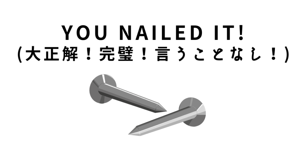 You nailed it!(大正解！完璧！言うことなし！)の意味と使い方 あふろさんブログ